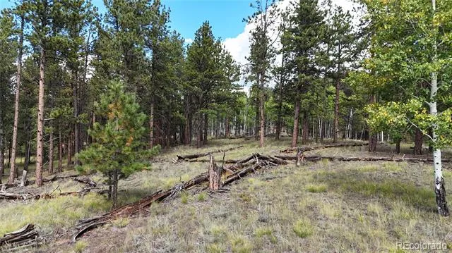 2265 Vagabond Creek Drive Lake George, CO 80827