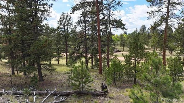 2265 Vagabond Creek Drive Lake George, CO 80827