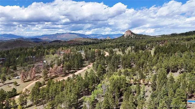 2265 Vagabond Creek Drive Lake George, CO 80827