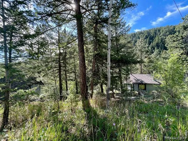 10763 Twin Spruce Road Golden, CO 80403