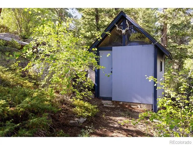 10763 Twin Spruce Road Golden, CO 80403