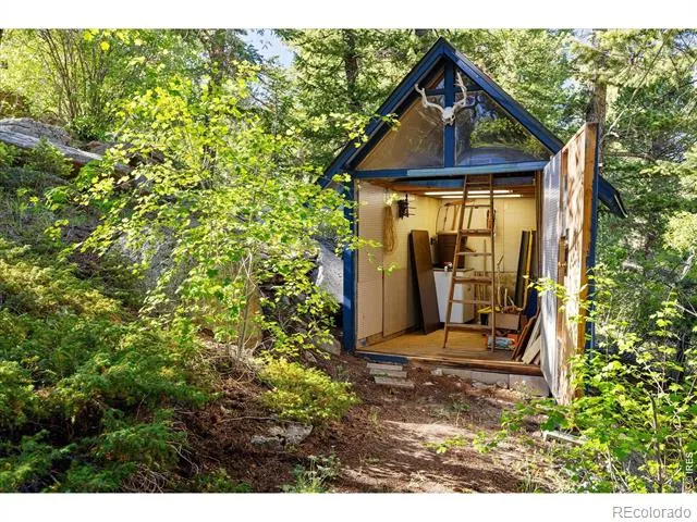 10763 Twin Spruce Road Golden, CO 80403