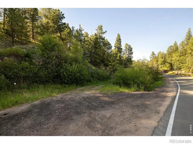 10763 Twin Spruce Road Golden, CO 80403