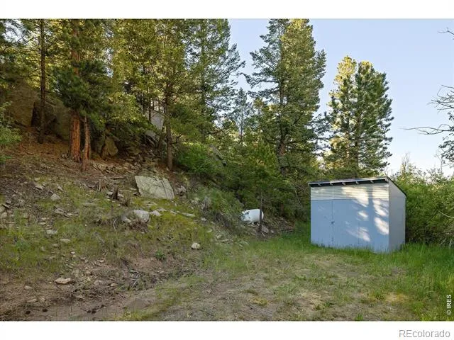 10763 Twin Spruce Road Golden, CO 80403