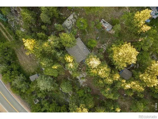 10763 Twin Spruce Road Golden, CO 80403