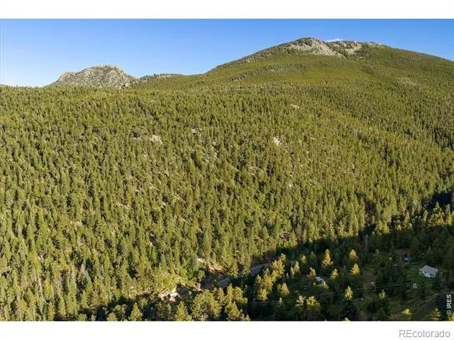 10763 Twin Spruce Road Golden, CO 80403