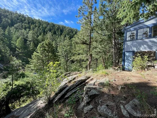 10763 Twin Spruce Road Golden, CO 80403
