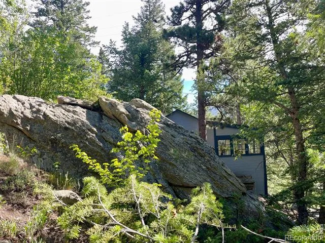 10763 Twin Spruce Road Golden, CO 80403