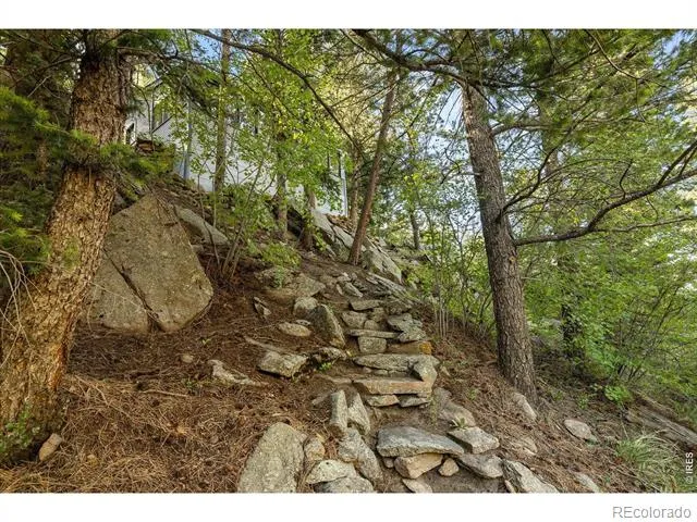 10763 Twin Spruce Road Golden, CO 80403
