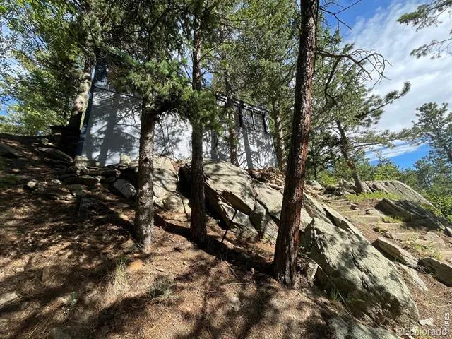 10763 Twin Spruce Road Golden, CO 80403