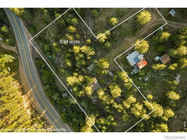 10763 Twin Spruce Road Golden, CO 80403