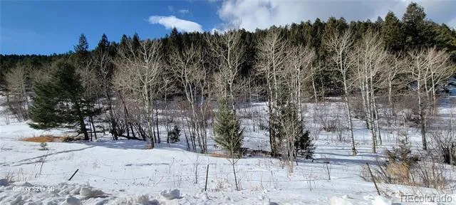 S Maxwell Hill Road Littleton, CO 80127