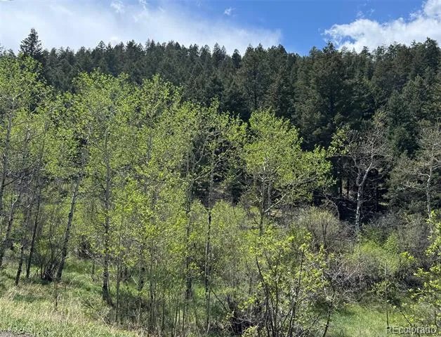 S Maxwell Hill Road Littleton, CO 80127