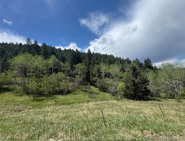 S Maxwell Hill Road Littleton, CO 80127
