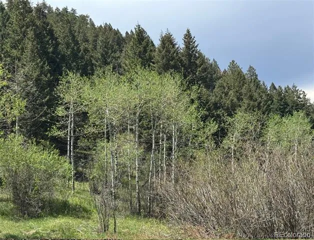 S Maxwell Hill Road Littleton, CO 80127