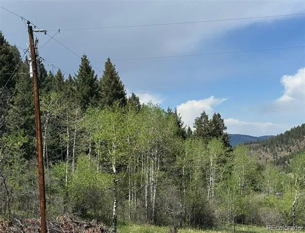 S Maxwell Hill Road Littleton, CO 80127