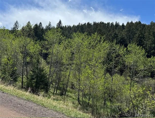 S Maxwell Hill Road Littleton, CO 80127