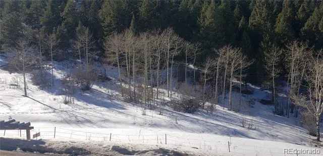 S Maxwell Hill Road Littleton, CO 80127