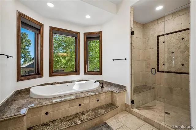 4796 Bear Mountain Drive Evergreen, CO 80439