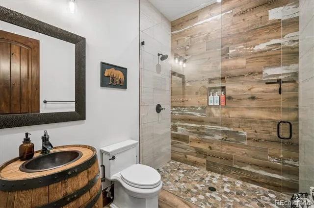 4796 Bear Mountain Drive Evergreen, CO 80439