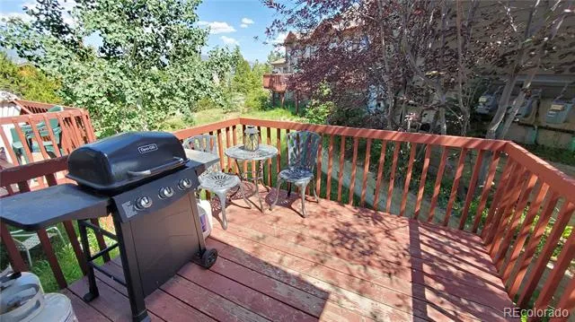 30 Spyglass Lane Silverthorne, CO 80498
