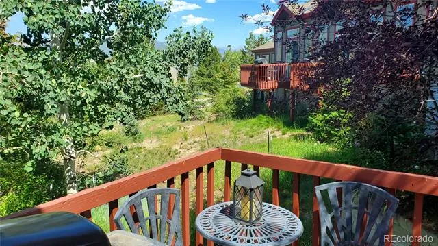 30 Spyglass Lane Silverthorne, CO 80498