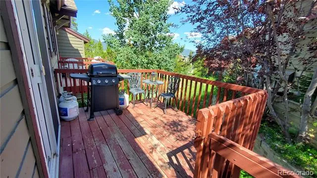 30 Spyglass Lane Silverthorne, CO 80498