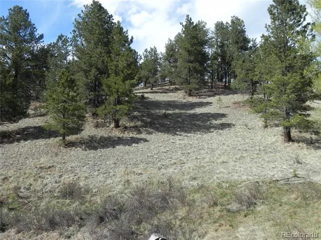 1699 Monarch Drive Cripple Creek, CO 80813