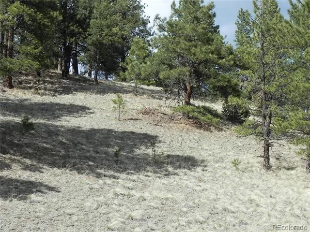 1699 Monarch Drive Cripple Creek, CO 80813
