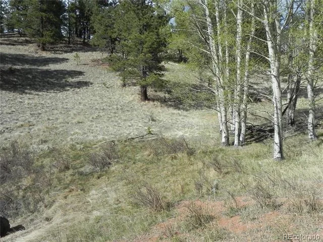 1699 Monarch Drive Cripple Creek, CO 80813