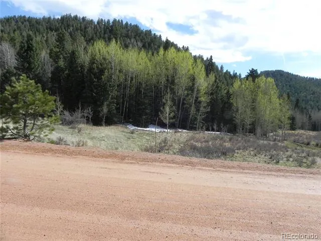 1699 Monarch Drive Cripple Creek, CO 80813
