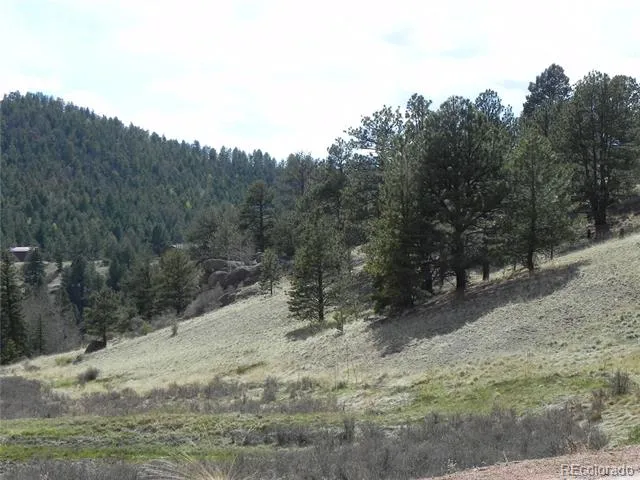 1699 Monarch Drive Cripple Creek, CO 80813