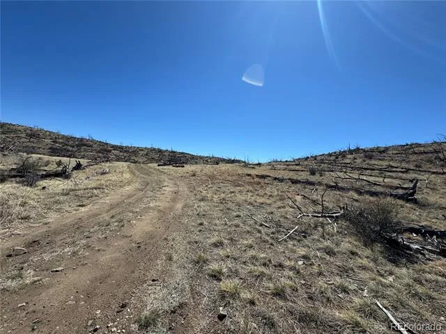 TBD 32nd F Path Cotopaxi, CO 81223