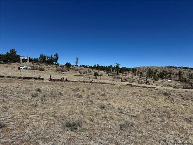 TBD 32nd F Path Cotopaxi, CO 81223