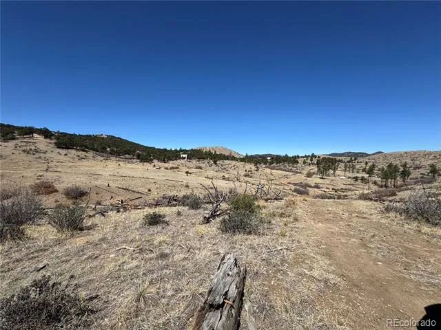 TBD 32nd F Path Cotopaxi, CO 81223