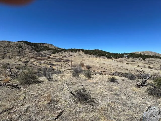 TBD 32nd F Path Cotopaxi, CO 81223