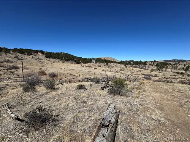 TBD 32nd F Path Cotopaxi, CO 81223