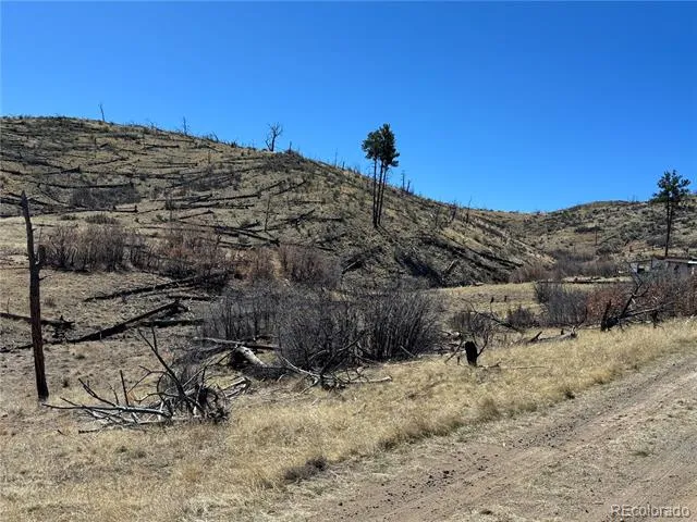 TBD 32nd F Path Cotopaxi, CO 81223