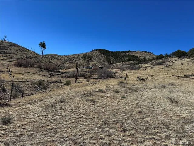 TBD 32nd F Path Cotopaxi, CO 81223