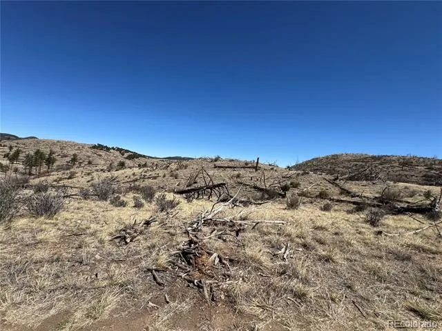 TBD 32nd F Path Cotopaxi, CO 81223