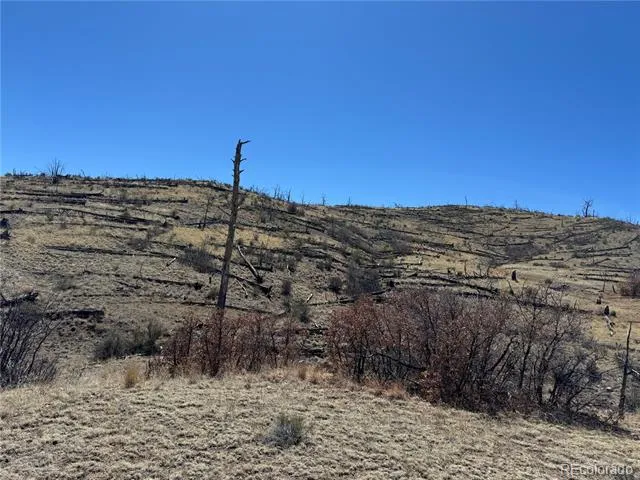 TBD 32nd F Path Cotopaxi, CO 81223