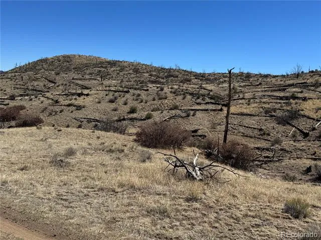 TBD 32nd F Path Cotopaxi, CO 81223