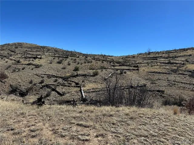 TBD 32nd F Path Cotopaxi, CO 81223