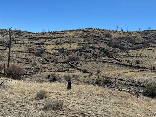 TBD 32nd F Path Cotopaxi, CO 81223