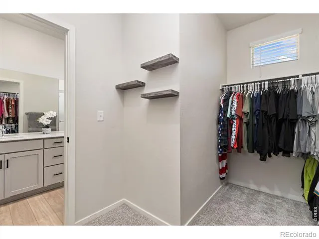 1805 Bounty Drive #Unit 3 Windsor, CO 80550