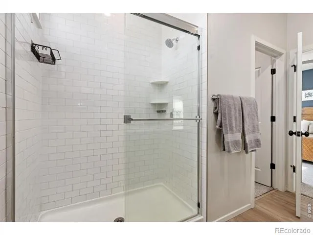 1805 Bounty Drive #Unit 3 Windsor, CO 80550