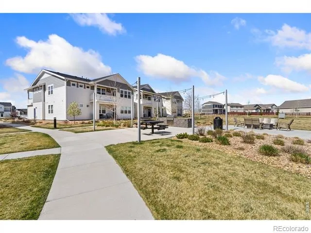 1805 Bounty Drive #Unit 3 Windsor, CO 80550