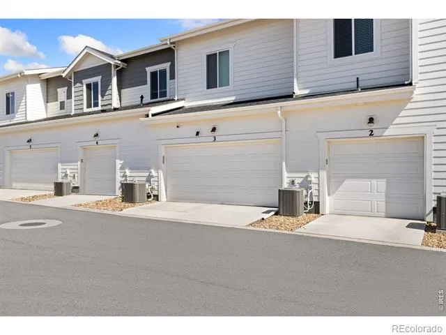 1805 Bounty Drive #Unit 3 Windsor, CO 80550