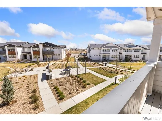 1805 Bounty Drive #Unit 3 Windsor, CO 80550