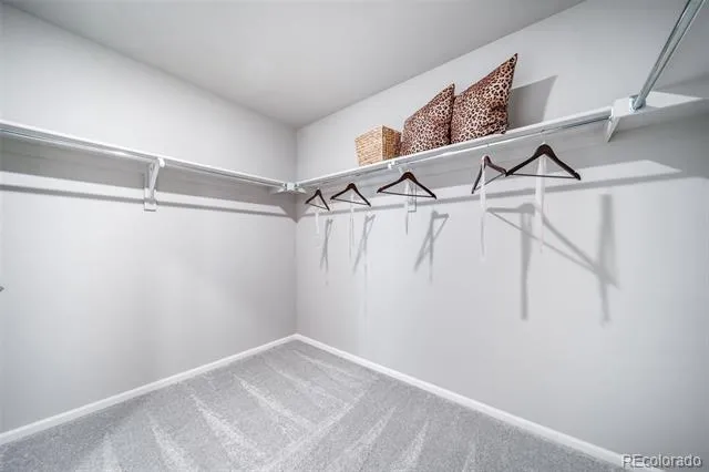 4154 Graywood Drive Johnstown, CO 80534